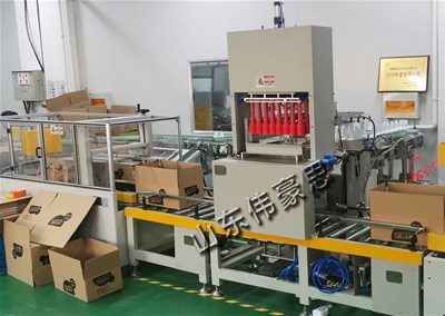 全自动装箱码垛生产线的行业应用及其特点