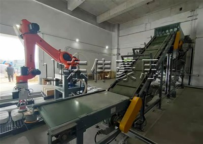 添加剂自动拆垛机器人 全自动拆垛拆包线