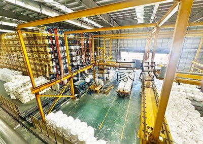800KG苯酐自动装车机 吨袋全自动装车机定制